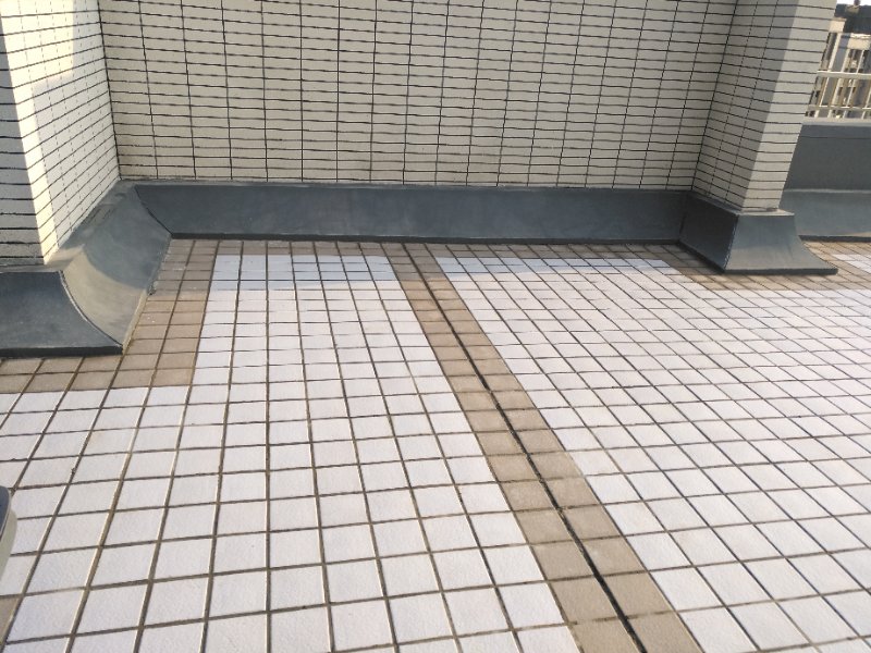 679329616626208801.jpg